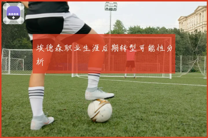 埃德森职业生涯后期转型可能性分析
