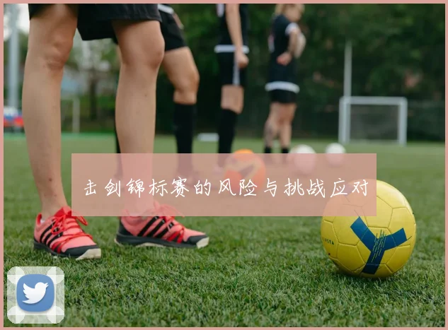 击剑锦标赛的风险与挑战应对
