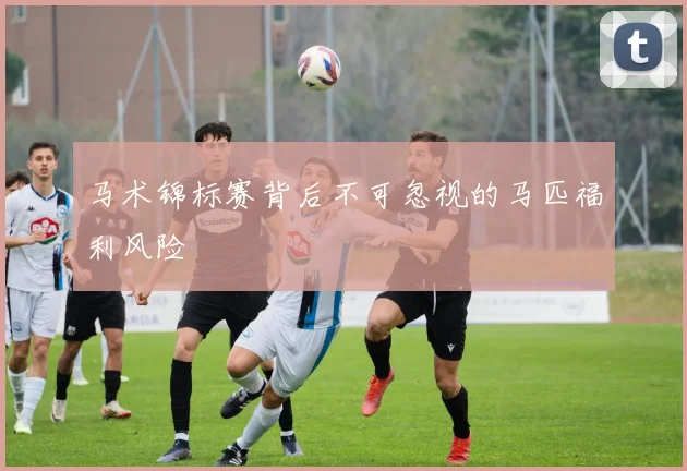 马术锦标赛背后不可忽视的马匹福利风险
