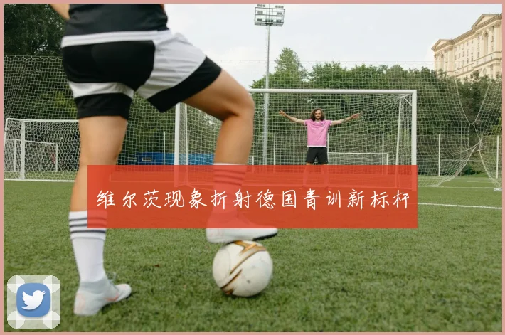 维尔茨现象折射德国青训新标杆