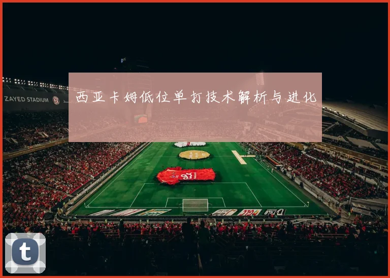 西亚卡姆低位单打技术解析与进化