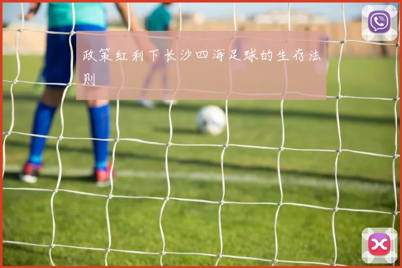 政策红利下长沙四海足球的生存法则