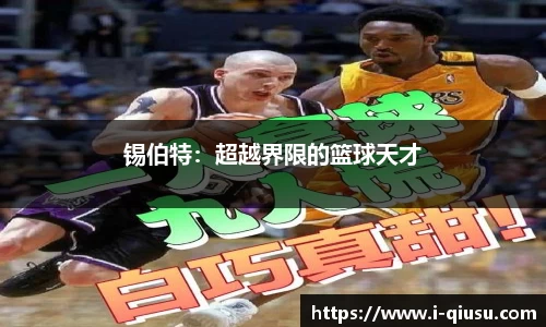 球速体育官方网站
